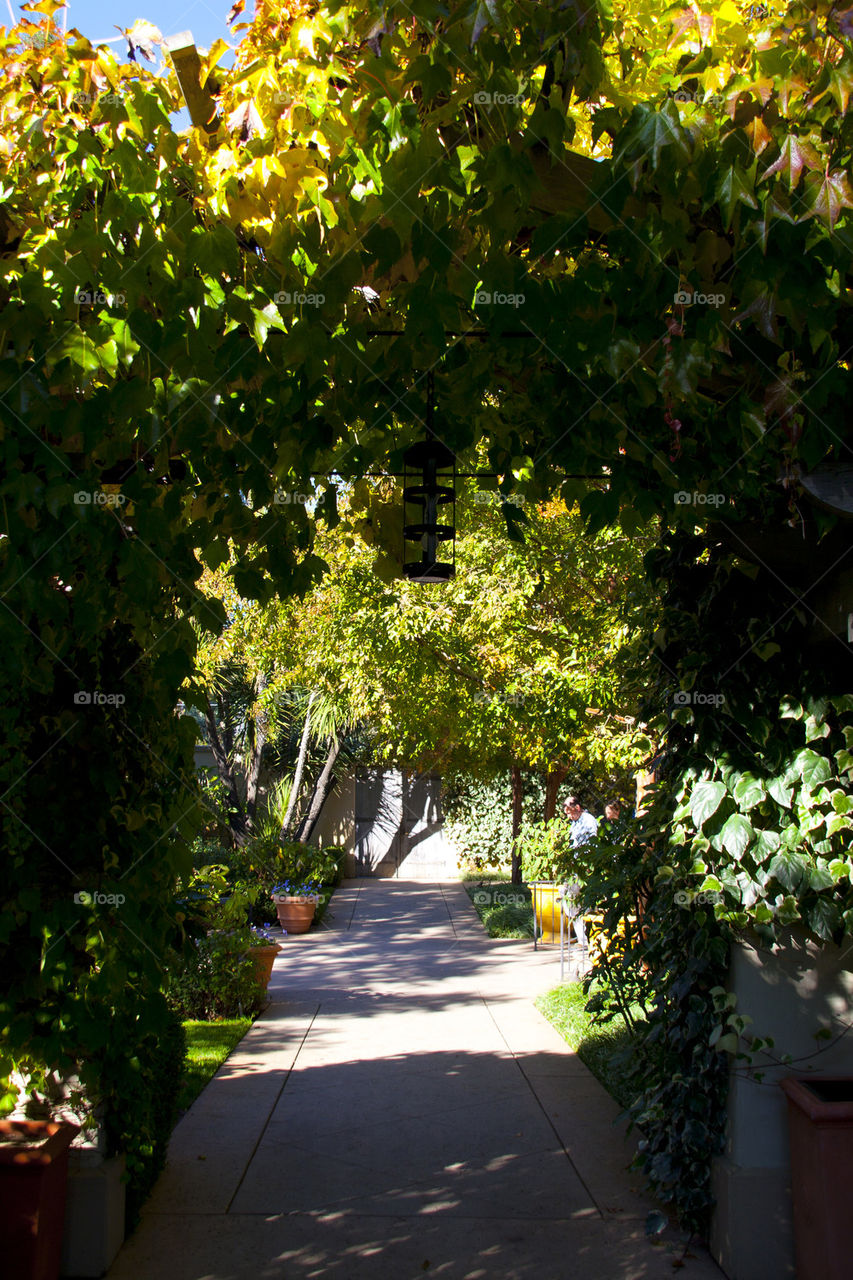 THE VINYARD AND WINERY AT SONOMA VALLEY CALIFORNIA USA