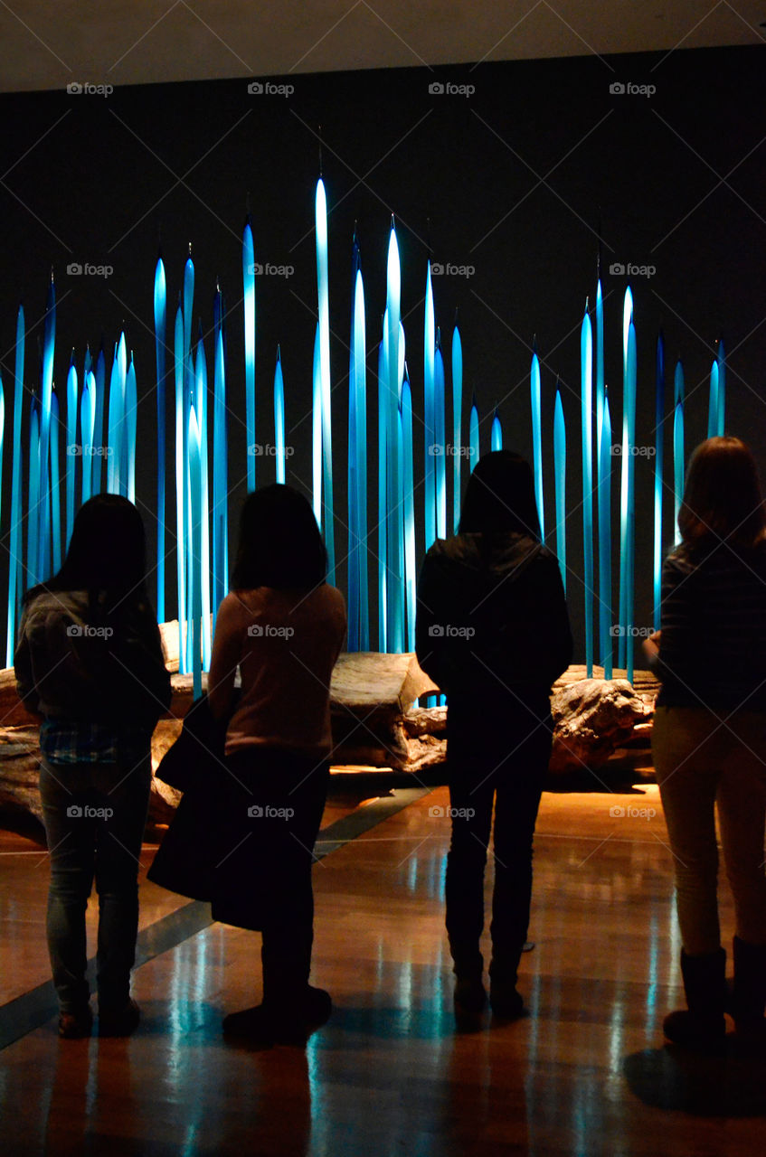 An Appreciation for Light