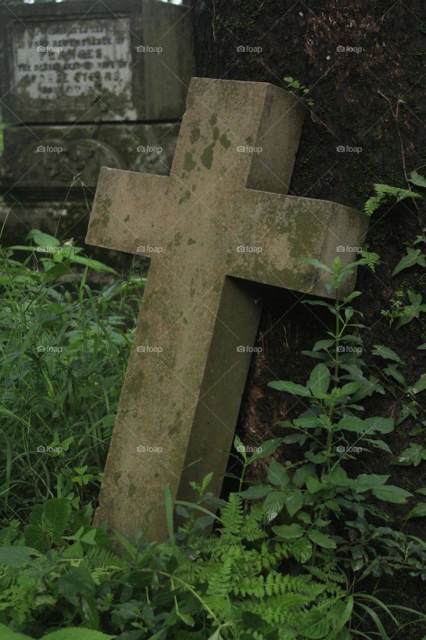 This picture captures the serene beauty of a solitary cross-like stone nestled under a majestic tree. The contrast of the grey stone against the lush greenery creates a tranquil atmosphere that is perfect for reflection and contemplation.