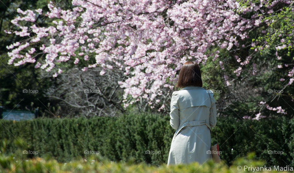 lady walking in the garden