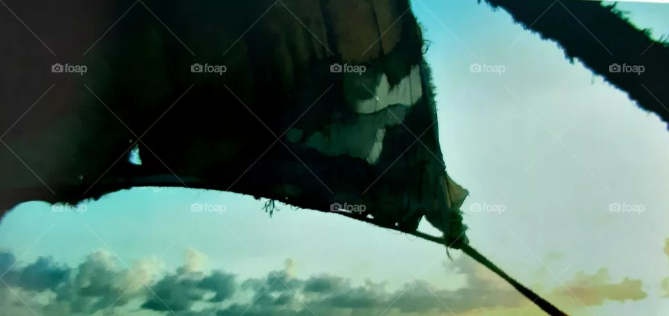 sailing