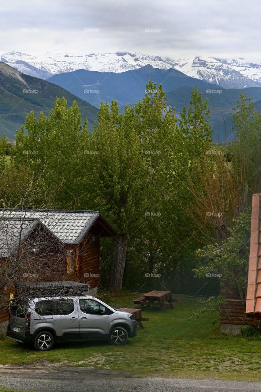 Spring and Winter together