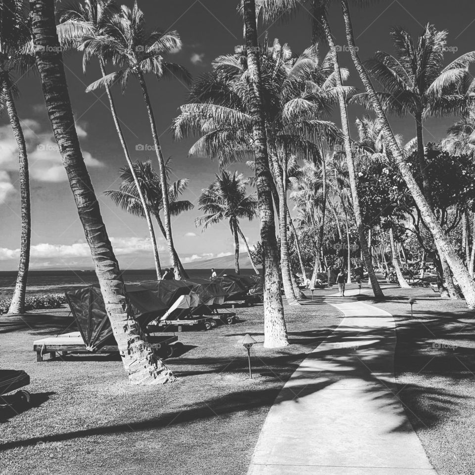 black and white in Maui