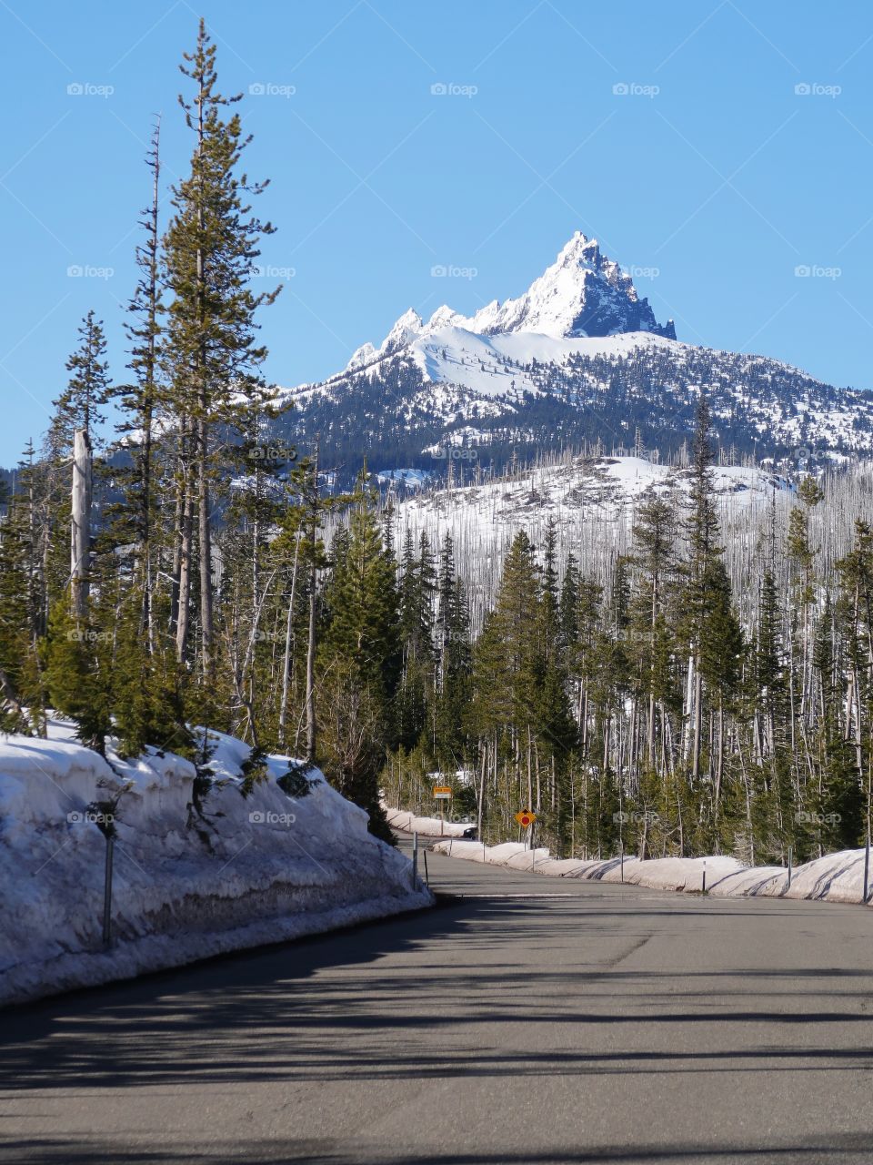 The magnificent snow covered Three Fingered Jack in Oregon’s Cascade Mountain Range against a clear blue sky on a beautiful spring day. 