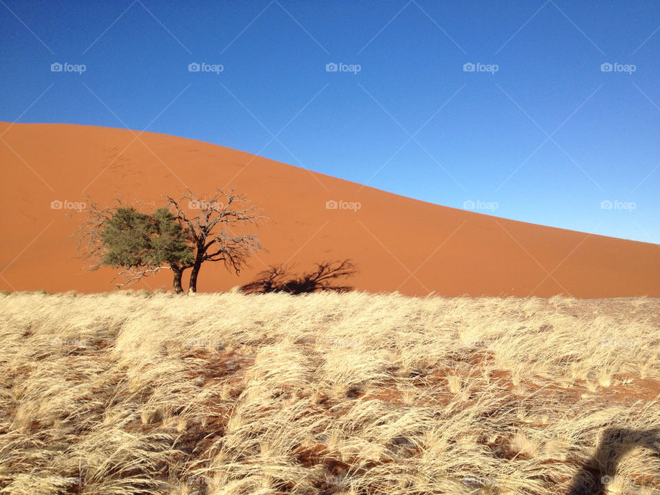 libya africa namibia dune45 by francescfabre