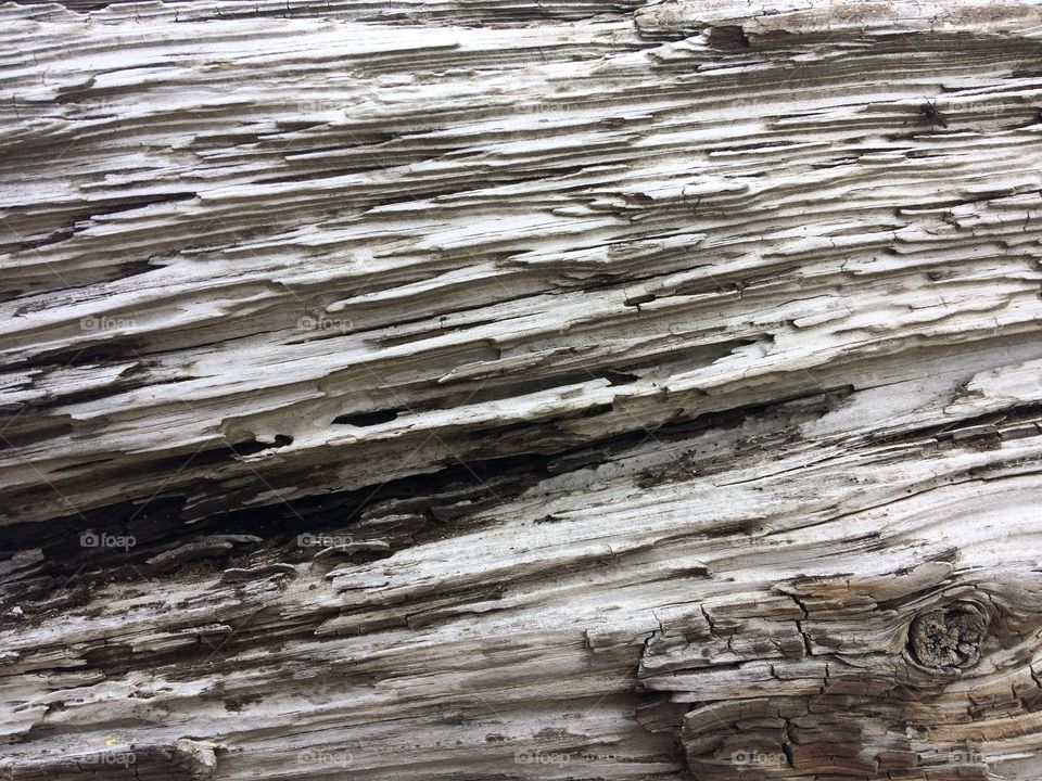 Old, sun-bleached and weather-beaten wood
