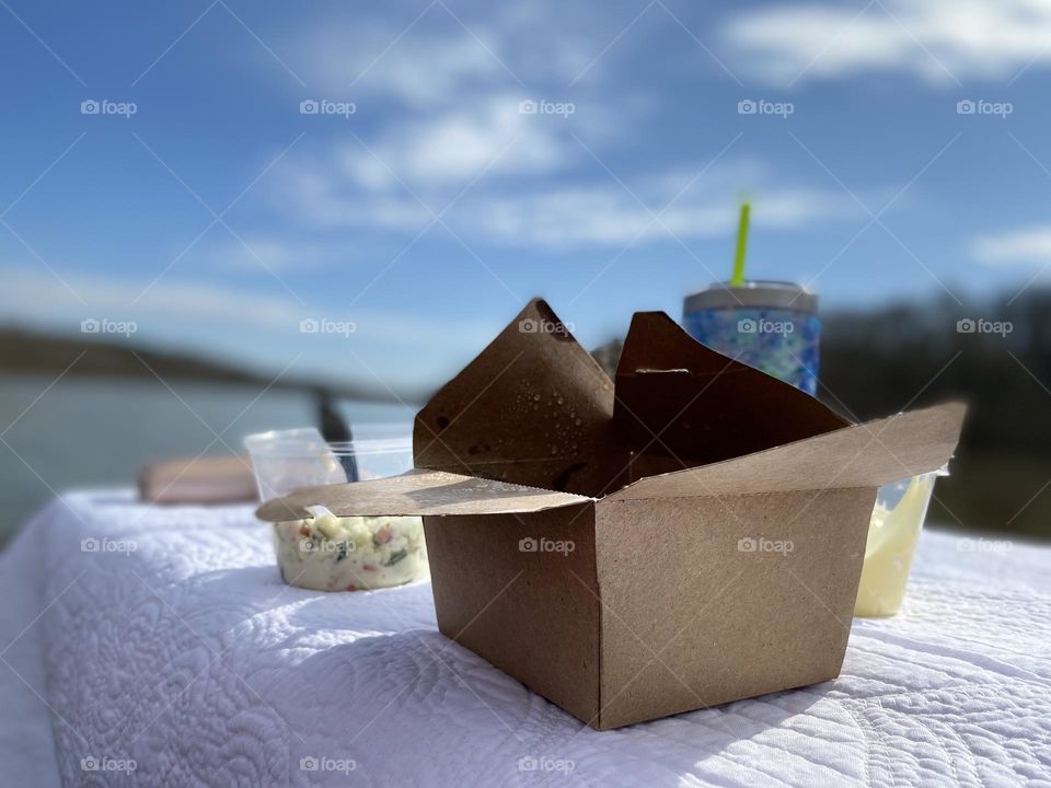 Lakeside Picnic Lunch