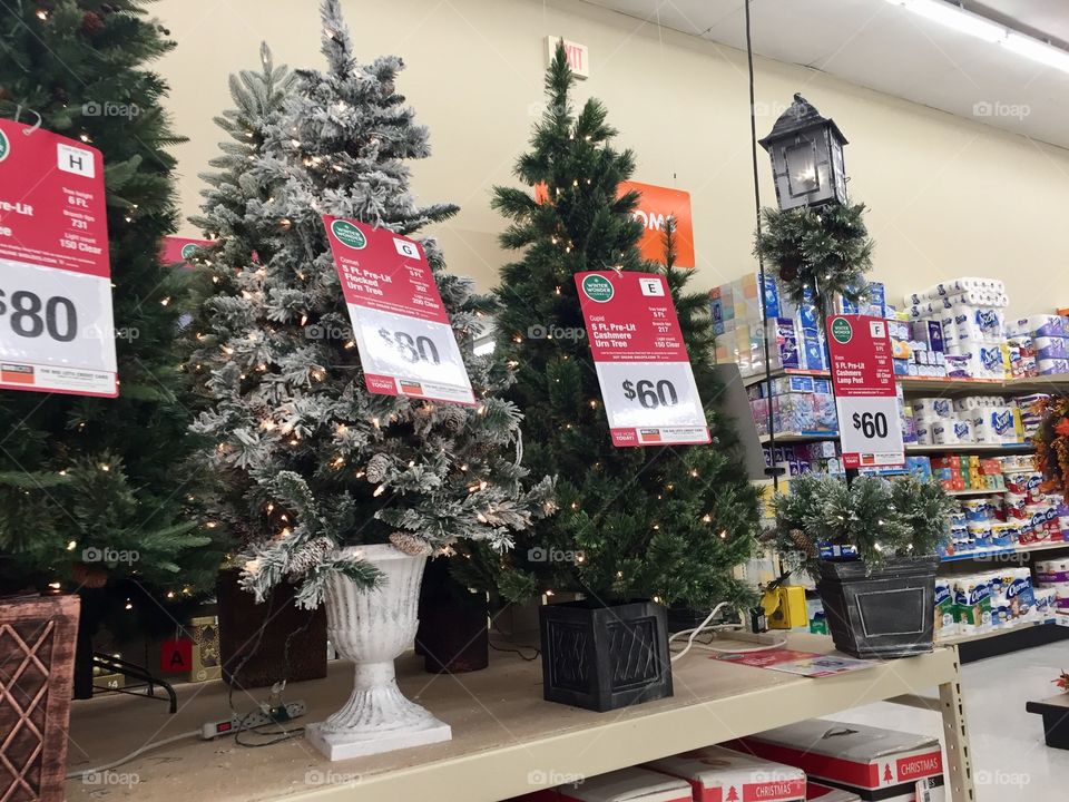 Christmas trees for sale on display