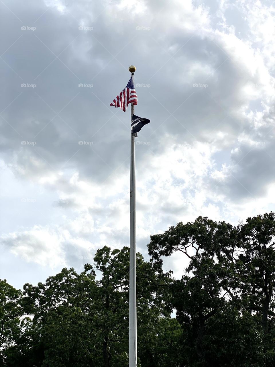 American flags blowing in the wind