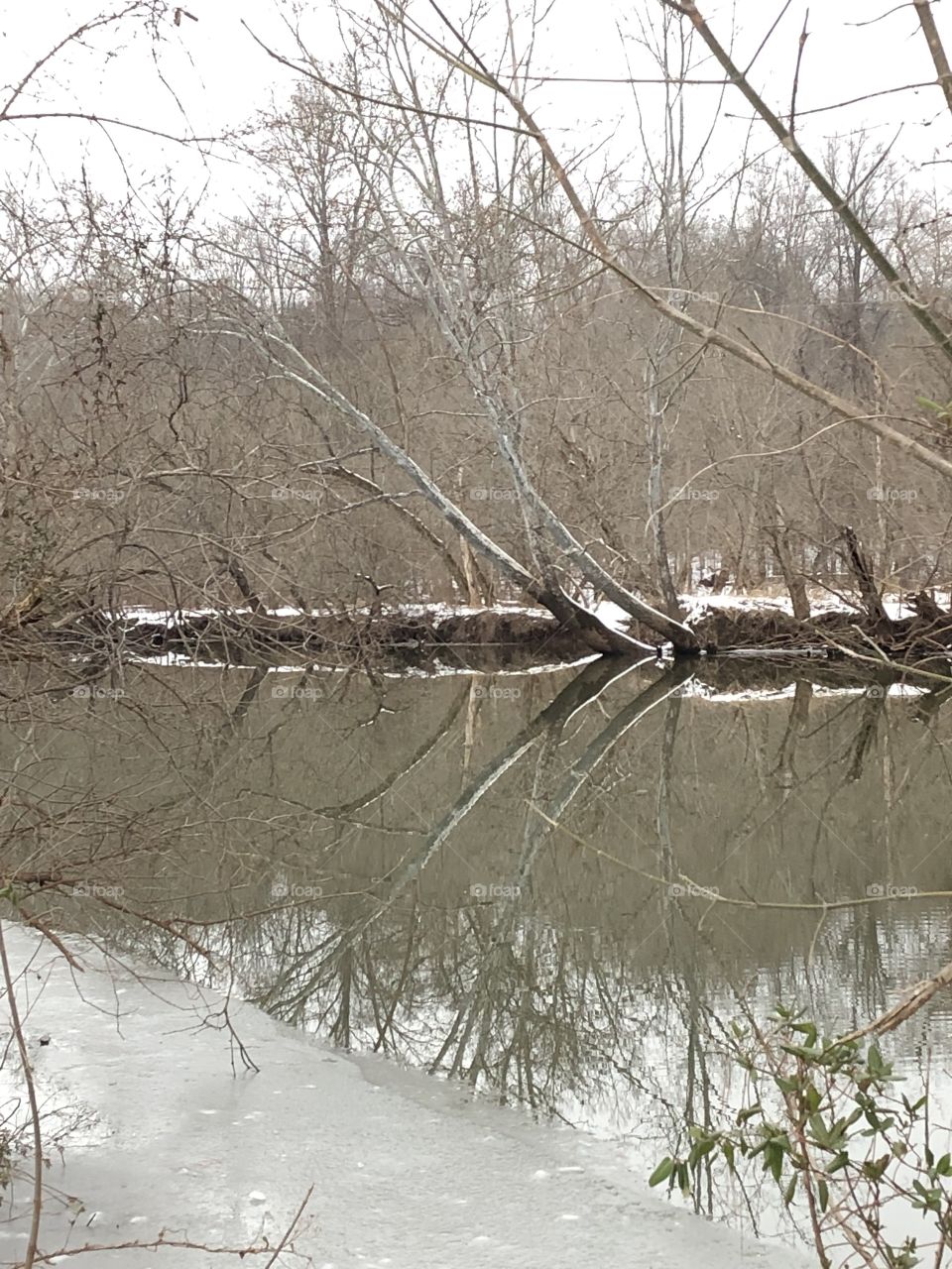 An incredible reflection on a river in Virginia’s bitter winter