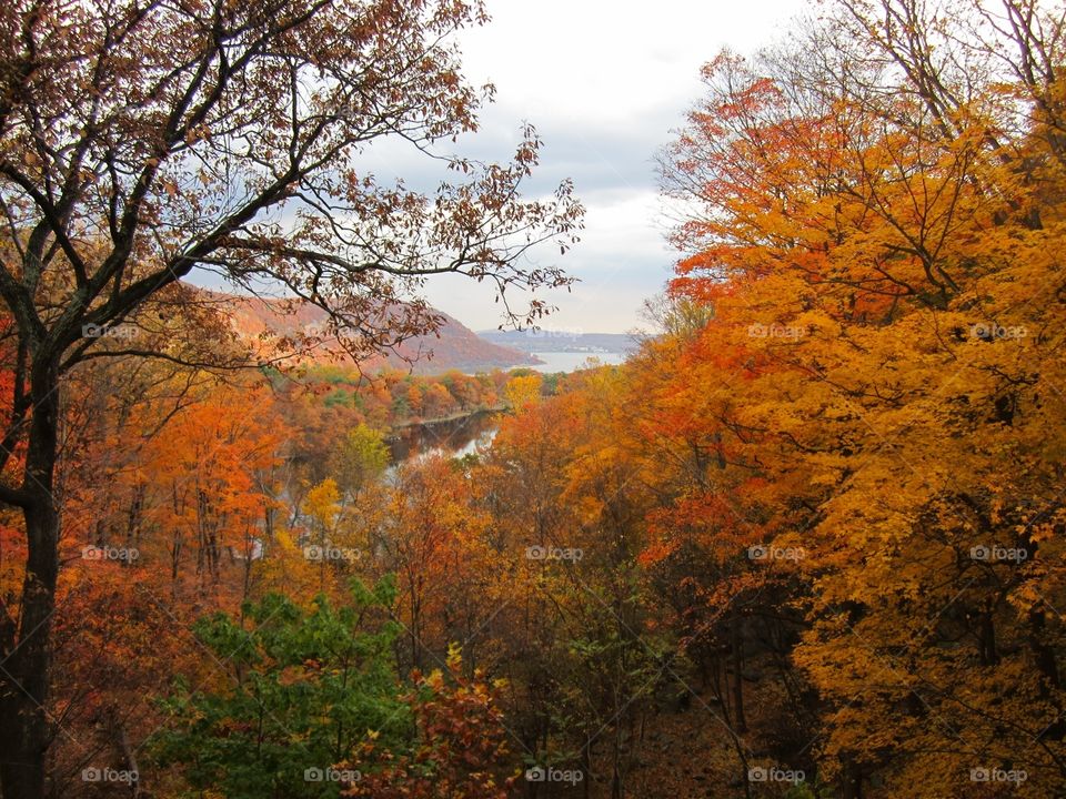 Bear Mountain in the fall