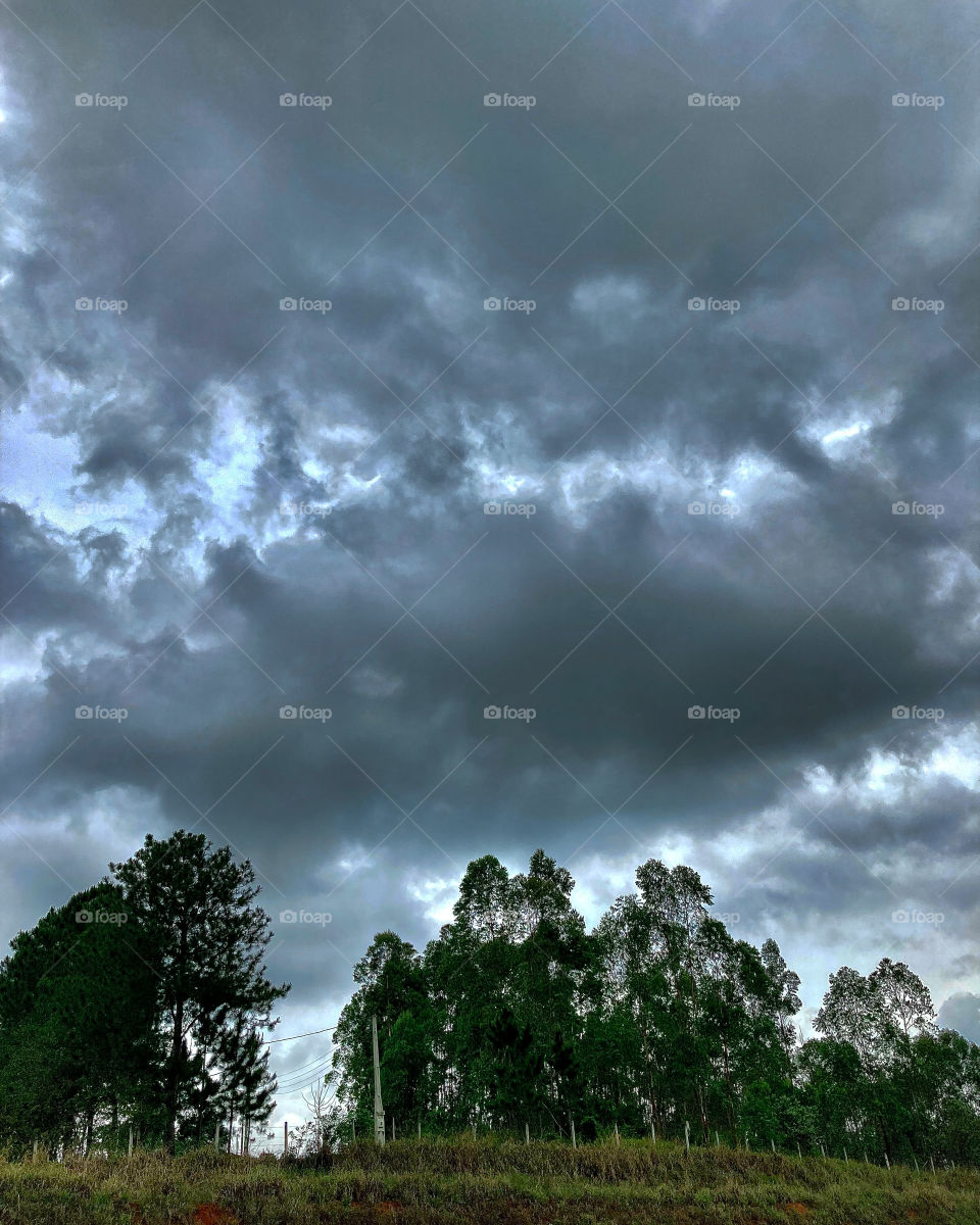 And the afternoon is turning into night… It's coming rain. And when it comes, let it come softly! / E a tarde está virando noite… Vem chuva por aí. E quando vier, que venha mansa!