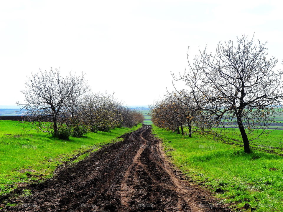 Beautiful rural life