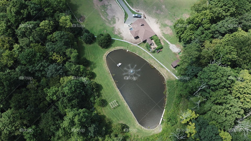 Pond on a horse farm 