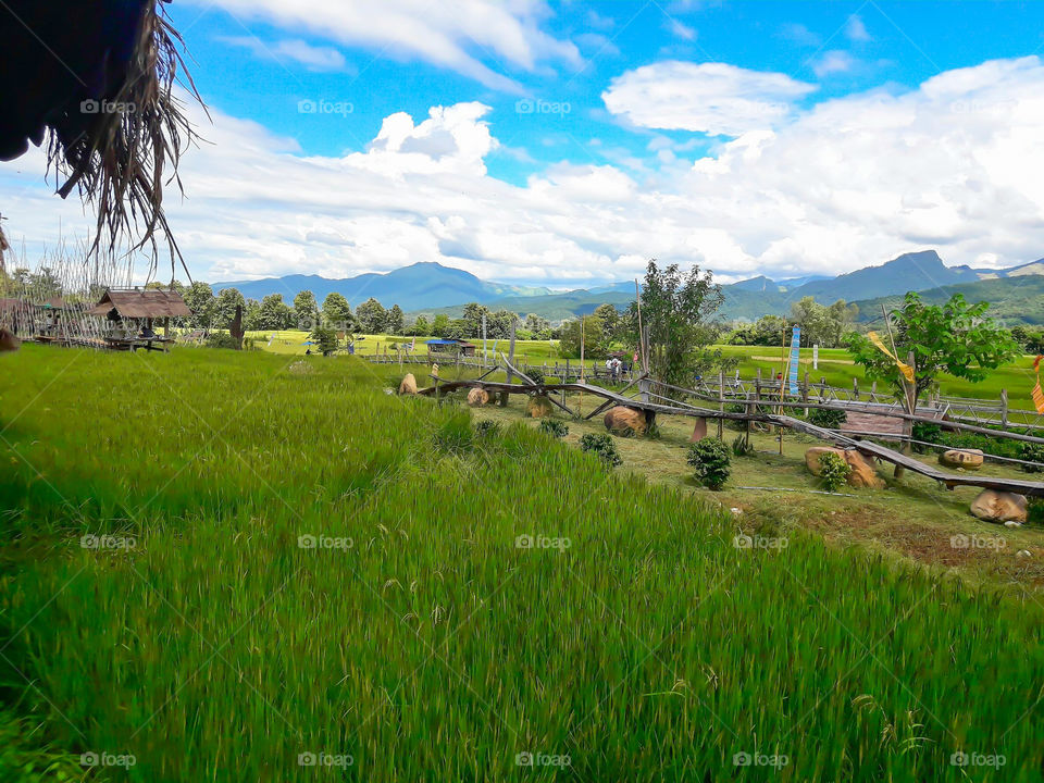 Boardwalk on the rice paddies of the coffee shop is a place where tourist PUA district, Nan province