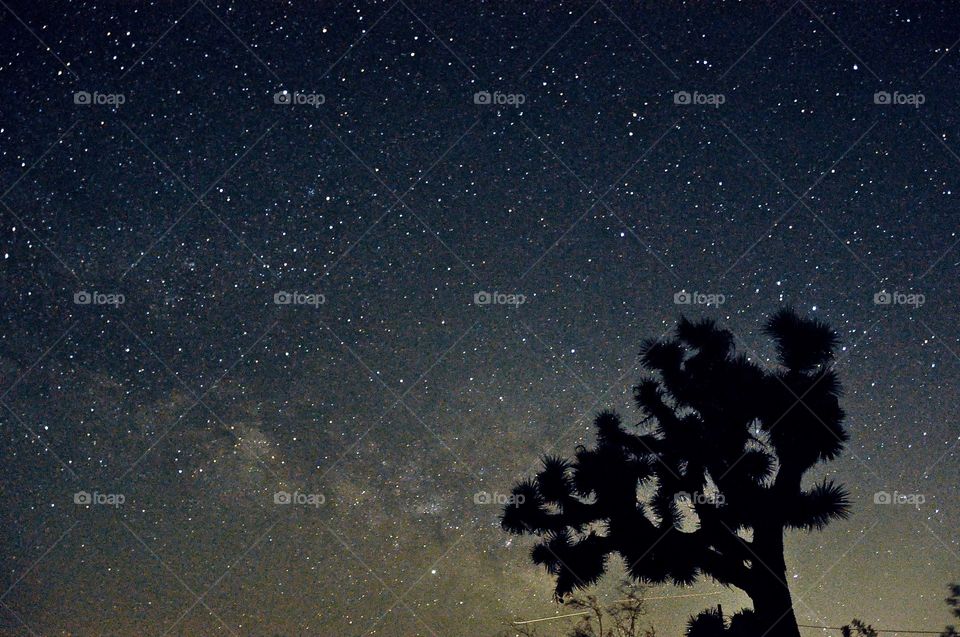 Landers, CA Night Sky 
