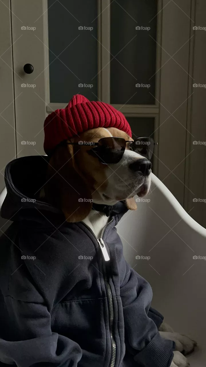 😎