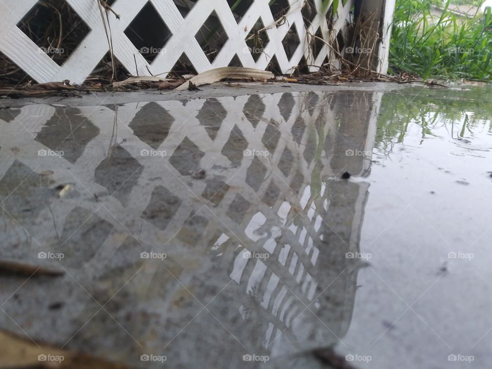 Puddles are a glimpse into a whole world usually unseen by daily life.