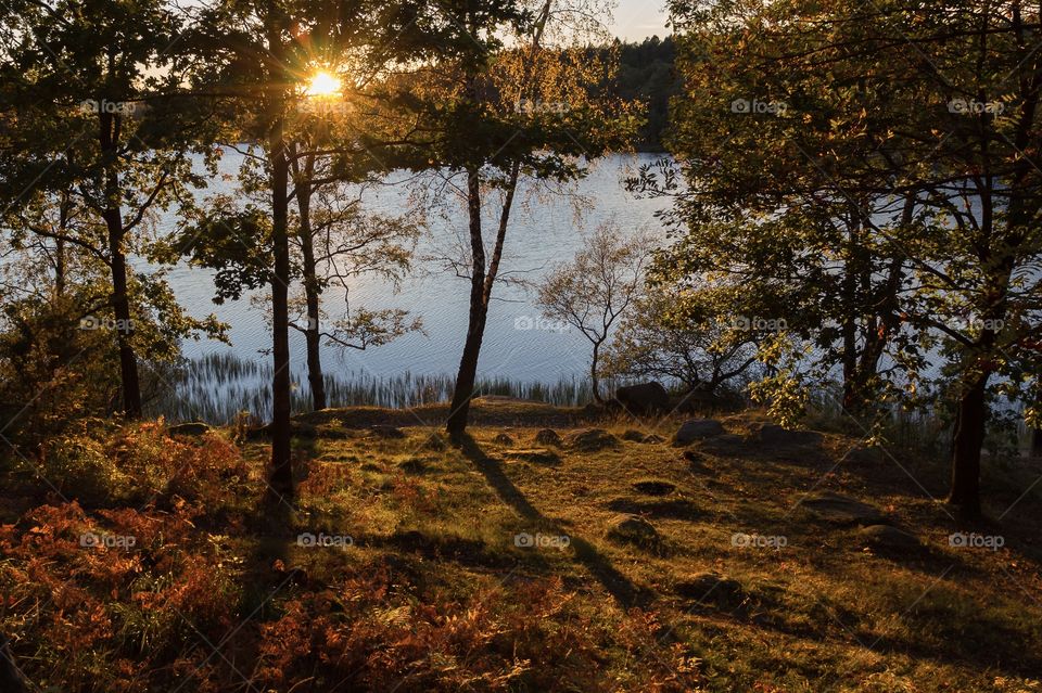 Woods changes colors, first signs of autumn 