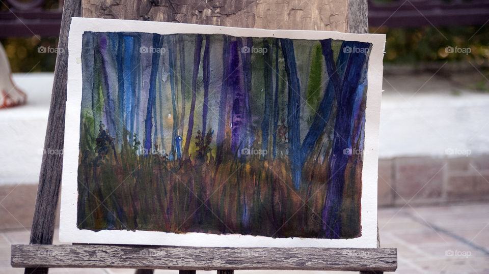 Peacock wandering around in the woods, a pleasant sight.