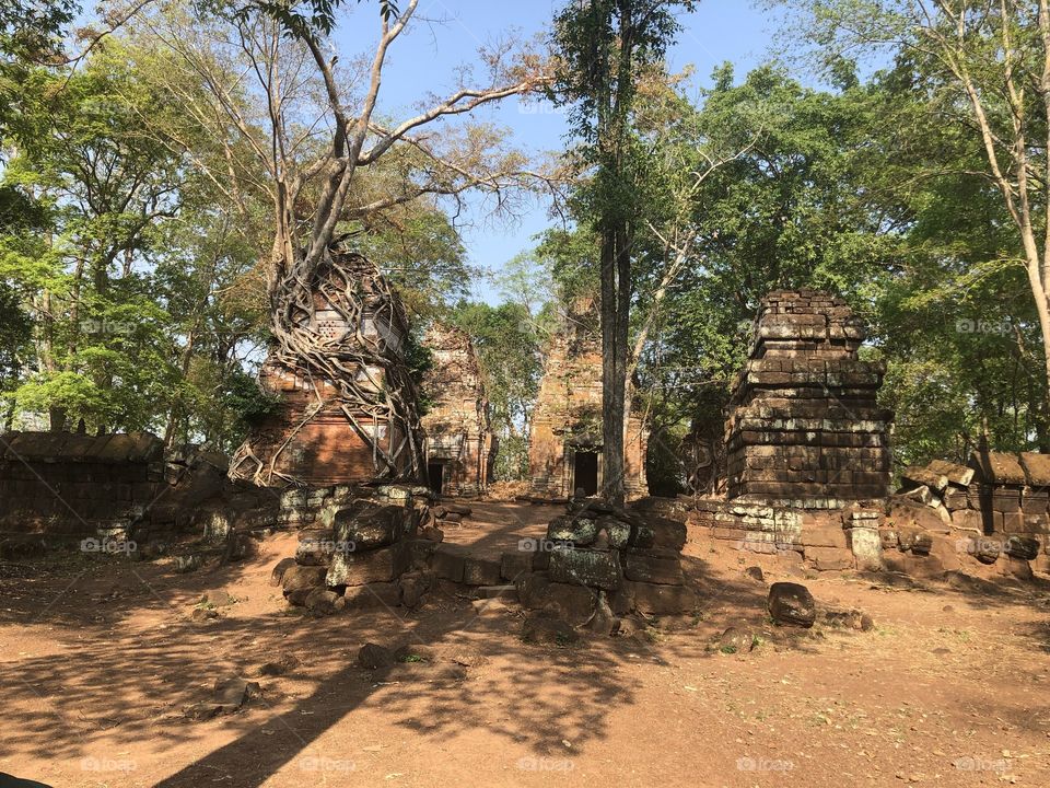 Hindu and Buddhist Ruins in The Jungle and Rainforest in Cambodia Chelsea Merkley Photography 2019