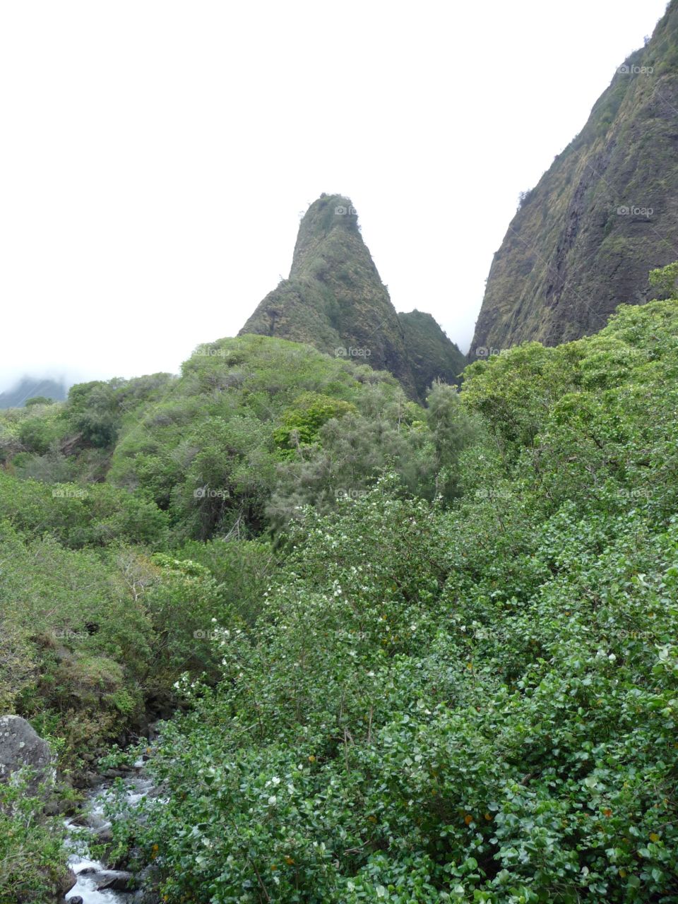 Maui, HI