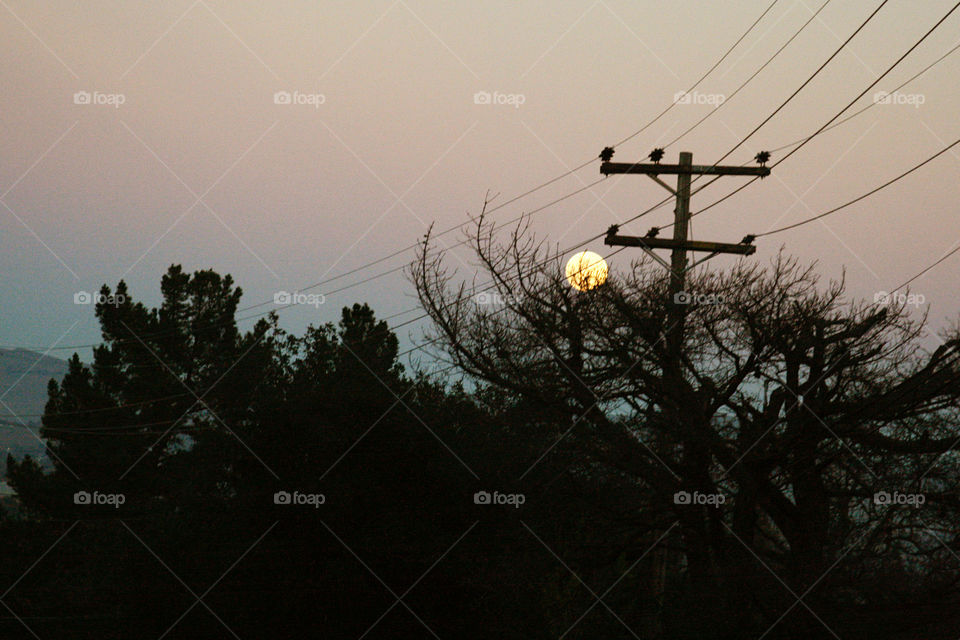 Moon. Electric pole 