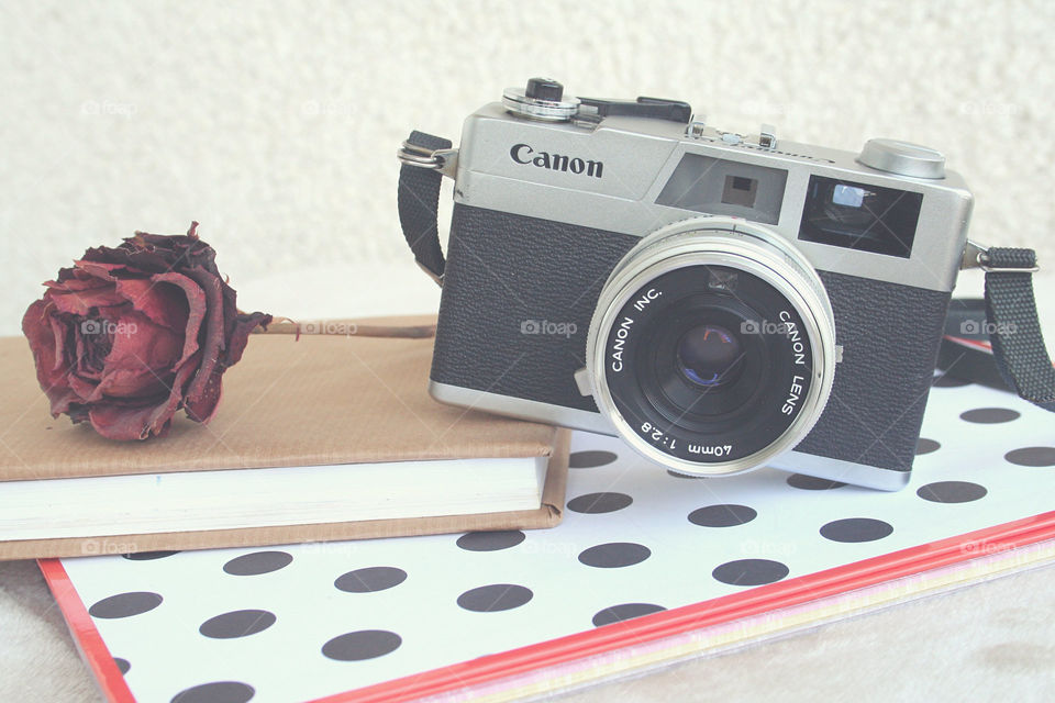Canonet 28 with rose..