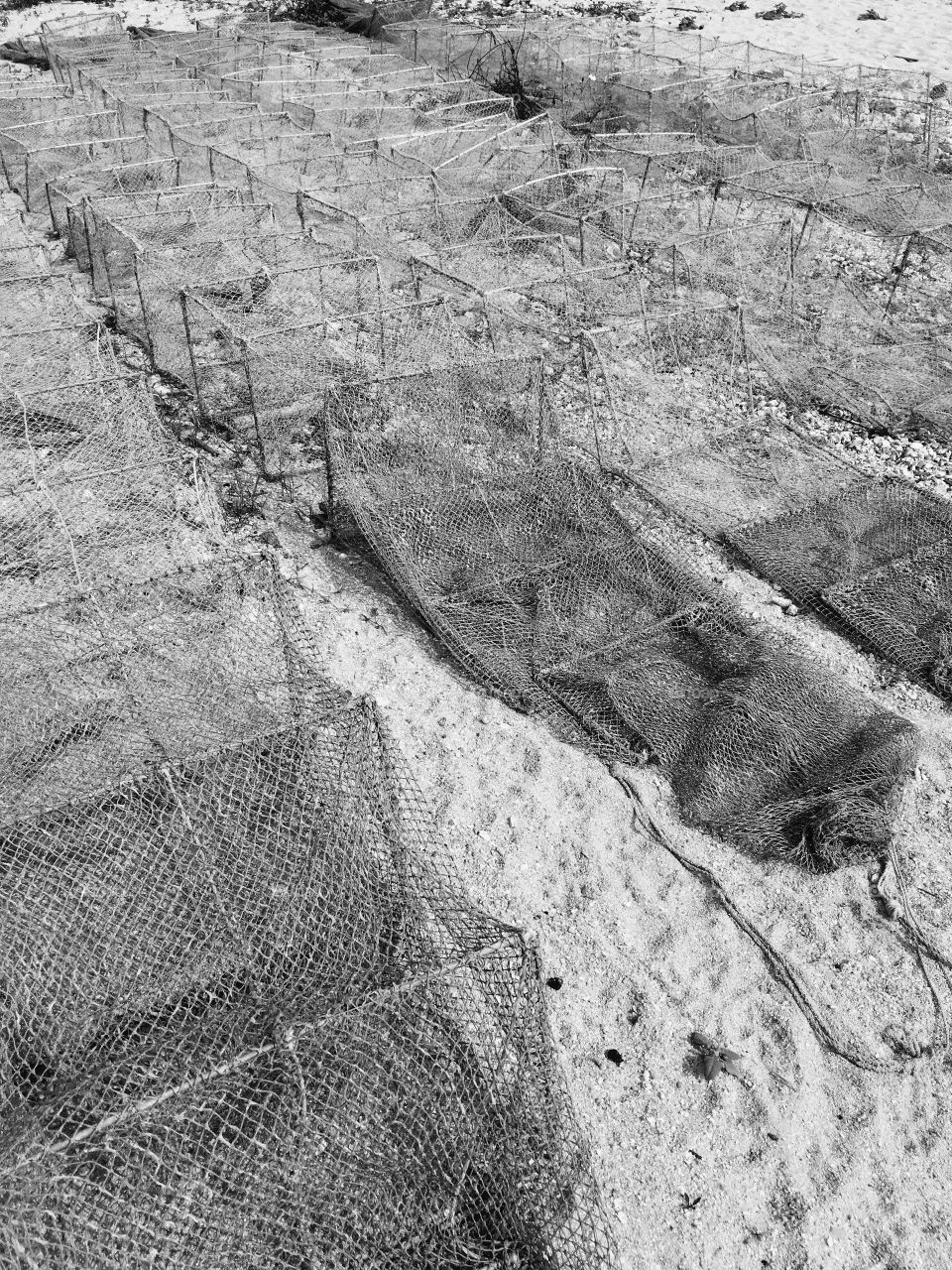 Fishing Nets & Baskets on Dapeng Beach in Shenzhen, China