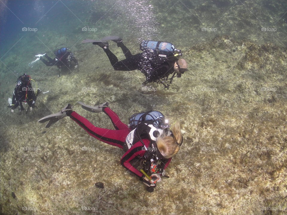 scuba divers exploring a reef