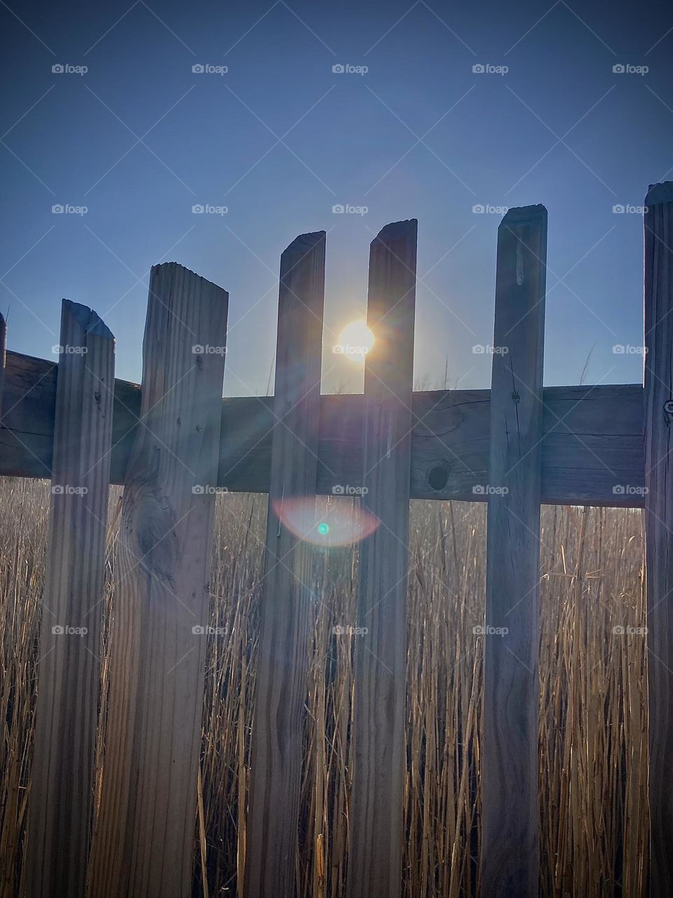 Soaking up the sunny moments