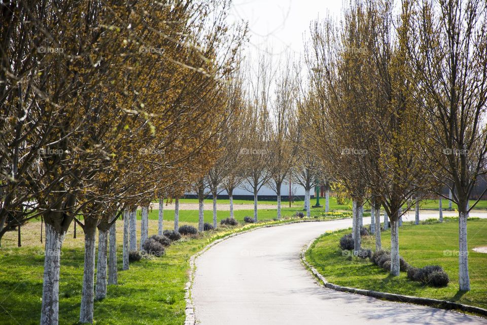 countryside road