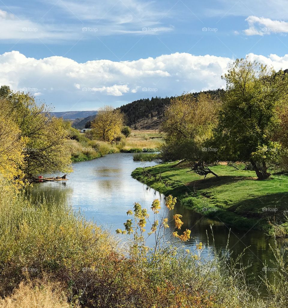 The Crooked River in Central Oregon winds through farmland with trees and bushes on the banks changing to their fall colors on a beautiful day. 