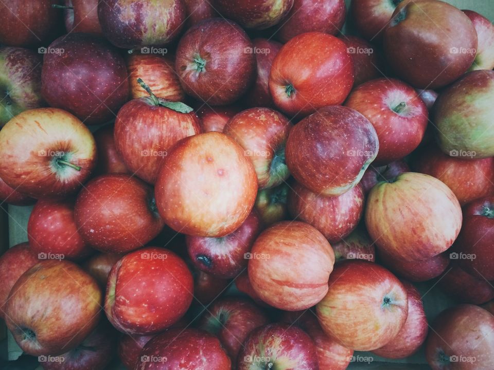 Full frame photo of red apples. 