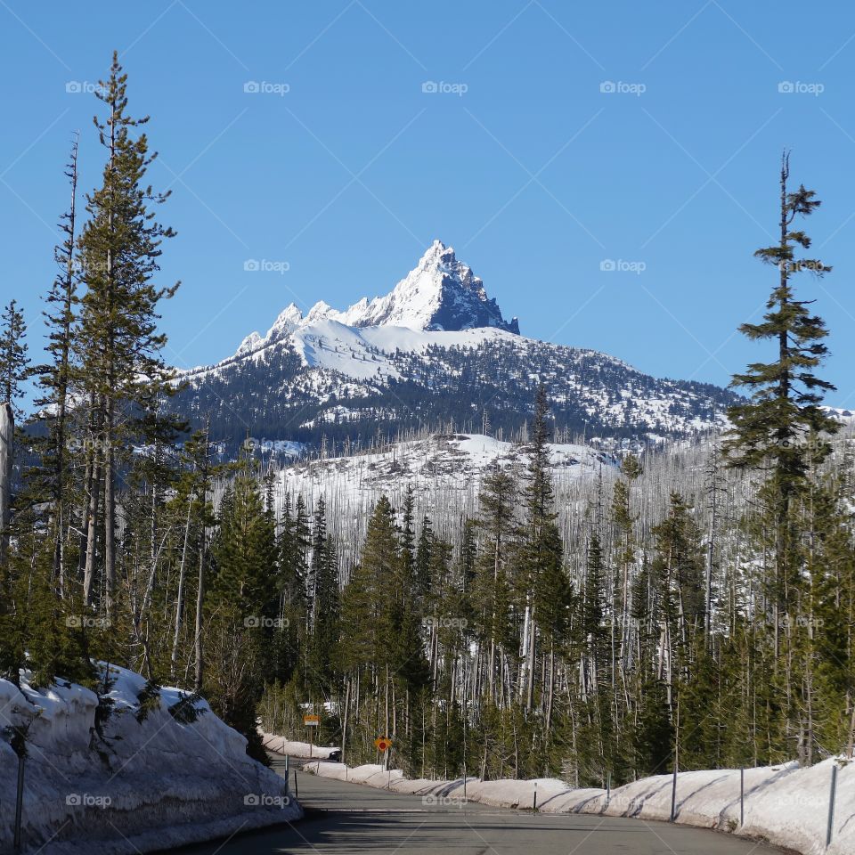 The magnificent snow covered Three Fingered Jack in Oregon’s Cascade Mountain Range against a clear blue sky on a beautiful spring day. 