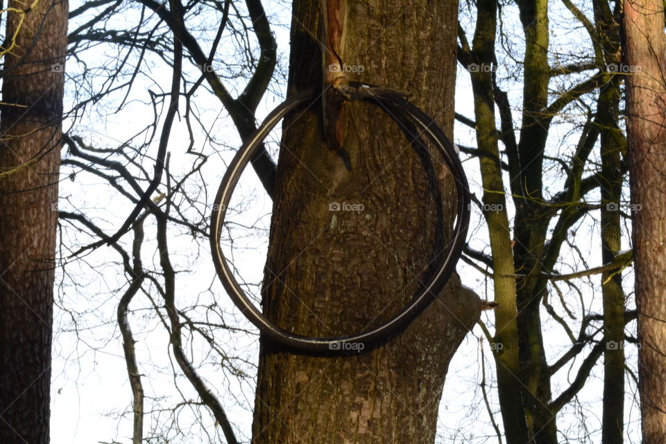 A crime to nature.. I hate people how do this!