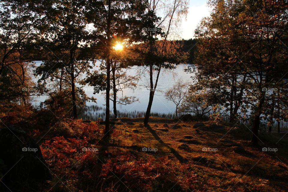 Autumn, glowing colors in the sunset - höst solnedgång sjö 