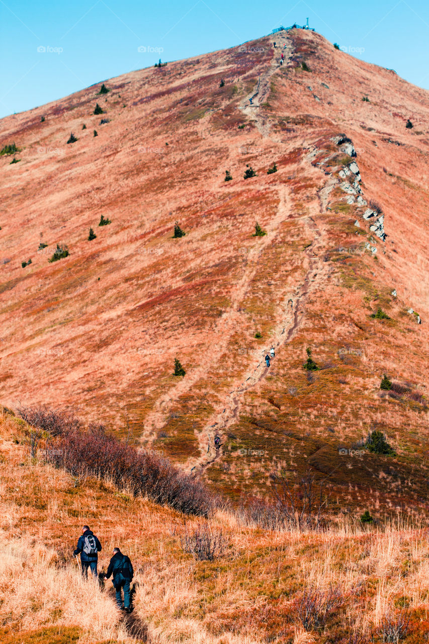 Autumn in The Bieszczady Mountains in Poland. Hillsides coloured with yellow, red, brown. Fall scenery, mountain landscape view from distance. People walking along a footpath