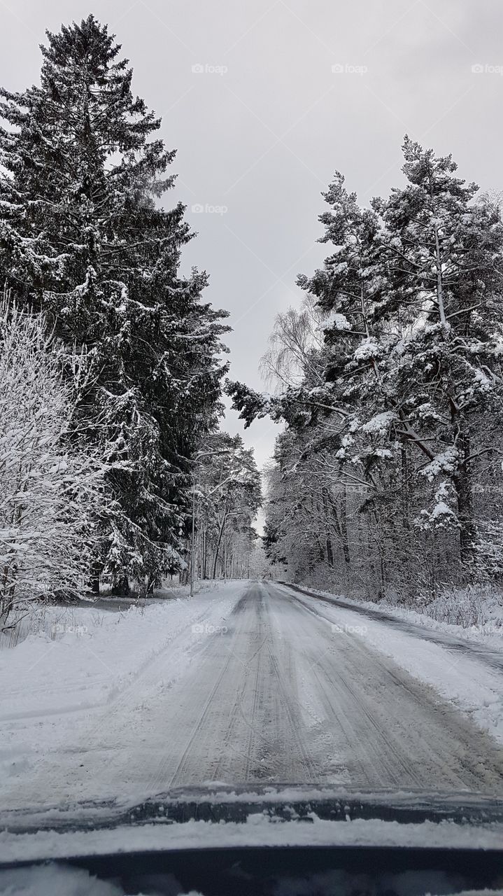 Driving on snowy road in the forest , winter - åker på snöig väg i skogen , vinter 