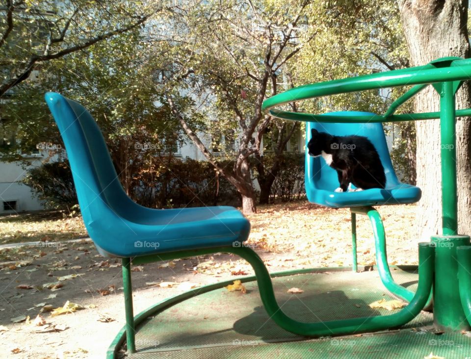 Summer, Chair, Playground, Leisure, Relaxation