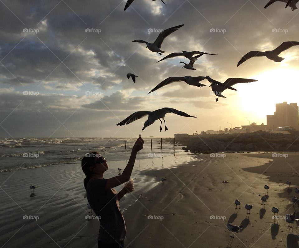 Feeding the friendly seagulls 