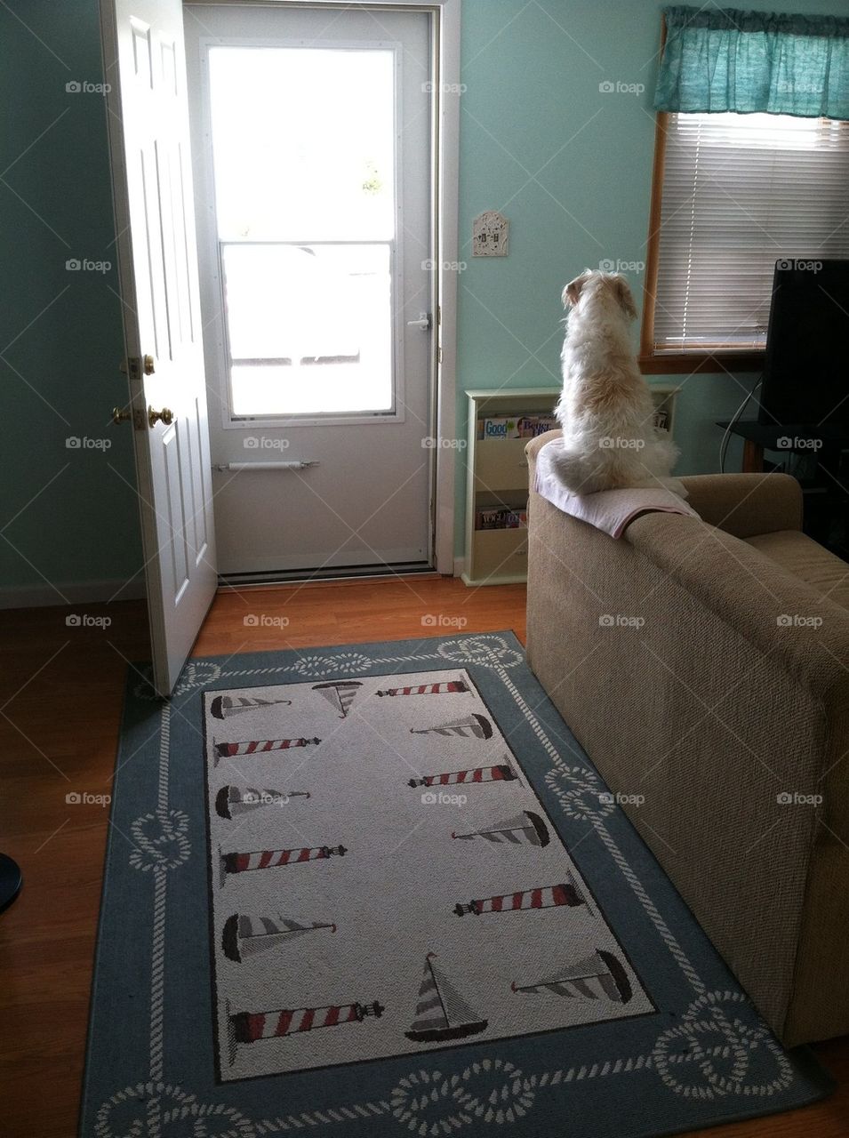 Welcome to my beach house