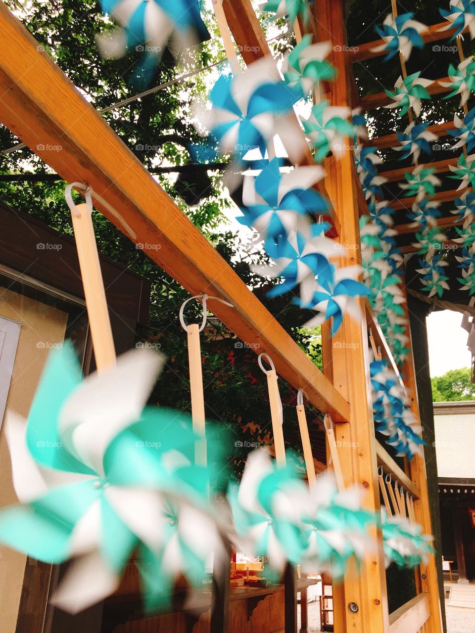 Whirling Whims: A Spinning Whidmill