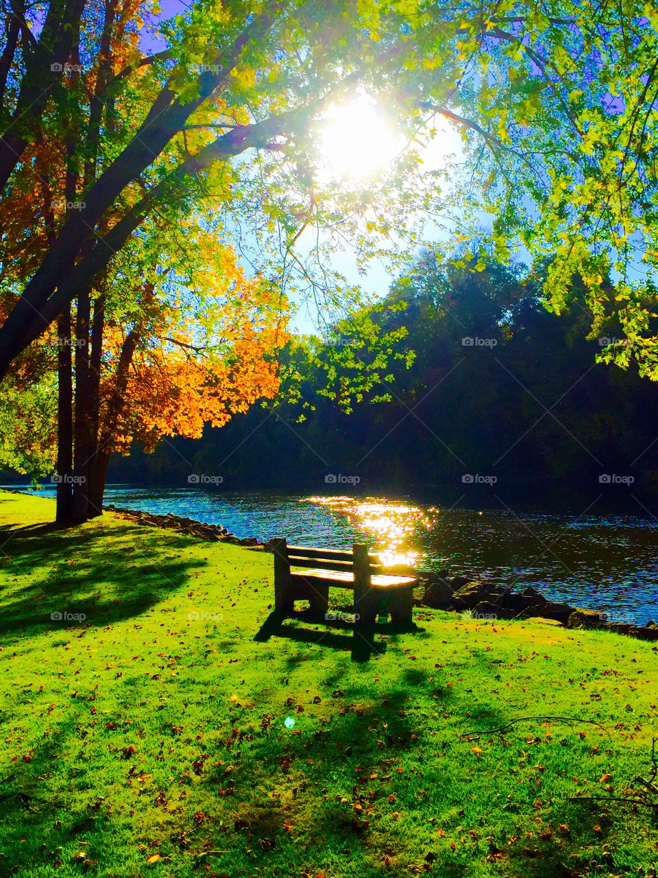 Empty bench by the river in Autumn