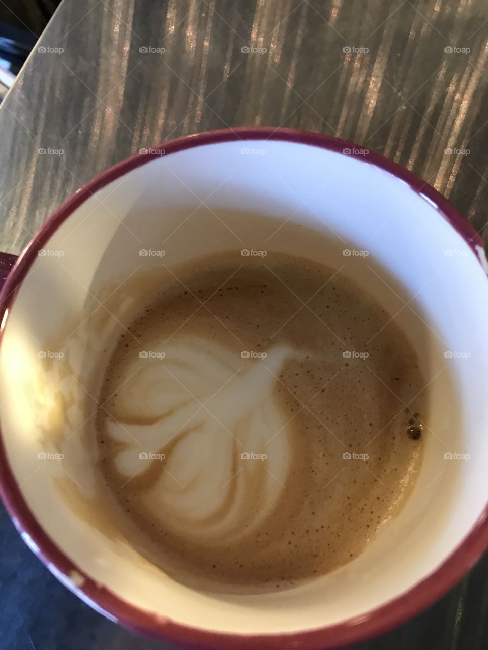 A white dove in my latte
