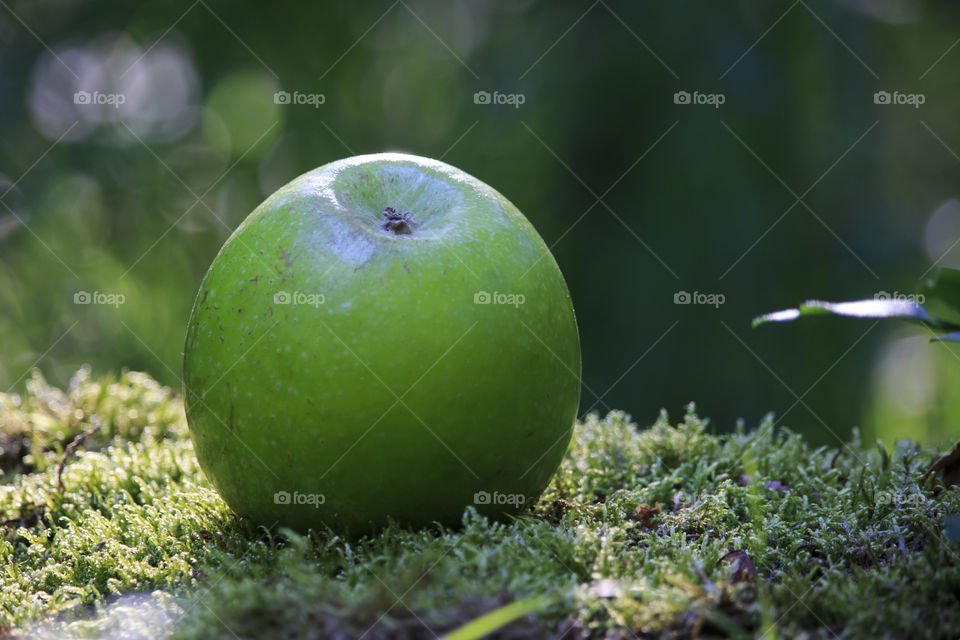 Green apple in green nature 