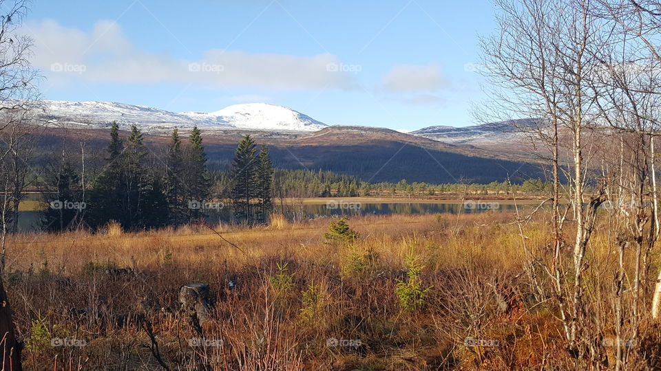 Kolåsen Mountain Jämtland