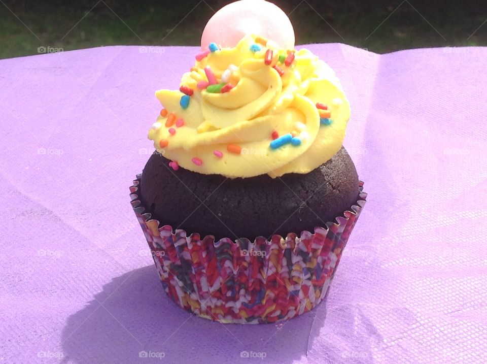 A chocolate cupcake with rainbow colored sprinkles.