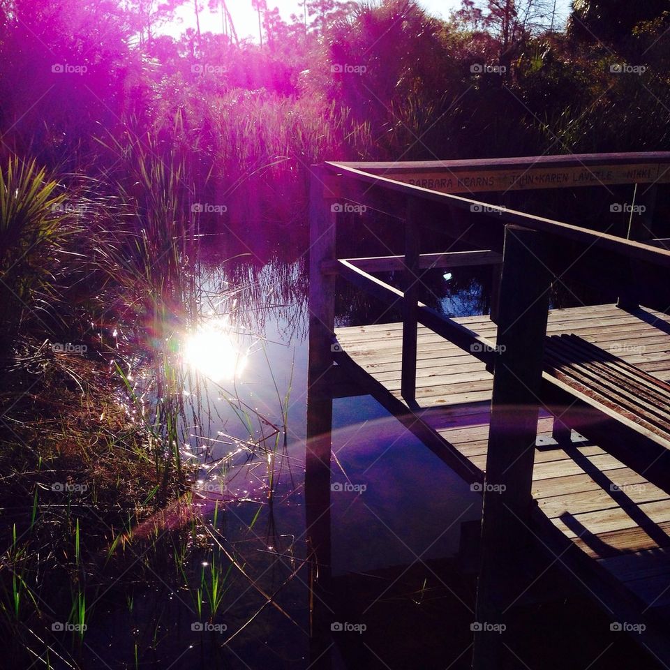 Sunny day on the dock