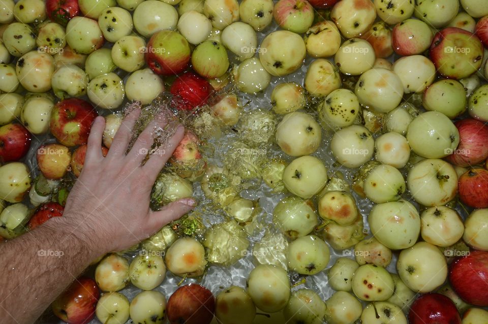 I m cleaning apples